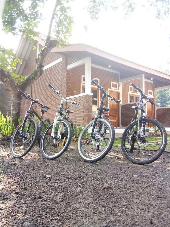 Genthong Homestay Magelang Zewnętrze zdjęcie