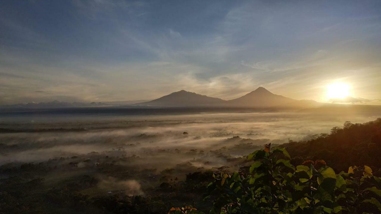 Genthong Homestay Magelang Zewnętrze zdjęcie